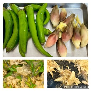 白瀬奈美の写メ日記｜ローテンブルク 吉原高級店ソープ