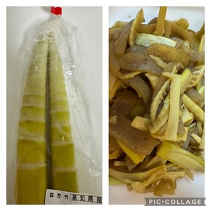 白瀬奈美の写メ日記｜ローテンブルク 吉原高級店ソープ