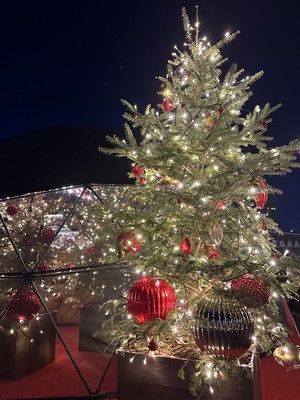 白瀬奈美の写メ日記｜ローテンブルク 吉原高級店ソープ