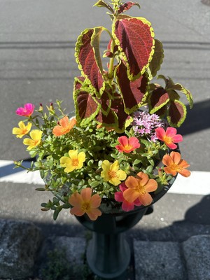 白瀬奈美の写メ日記｜ローテンブルク 吉原高級店ソープ