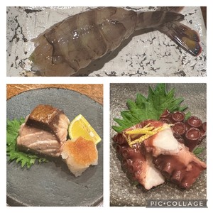 白瀬奈美の写メ日記｜ローテンブルク 吉原高級店ソープ