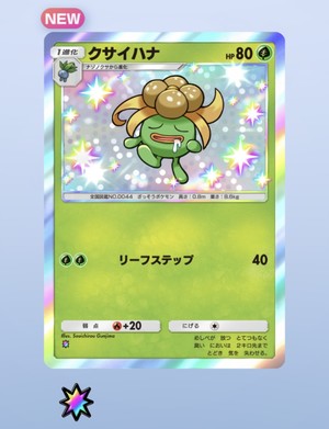 白瀬奈美の写メ日記｜ローテンブルク 吉原高級店ソープ