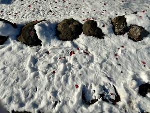 白瀬奈美の写メ日記｜ローテンブルク 吉原高級店ソープ