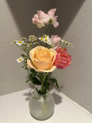 白瀬奈美の写メ日記｜ローテンブルク 吉原高級店ソープ