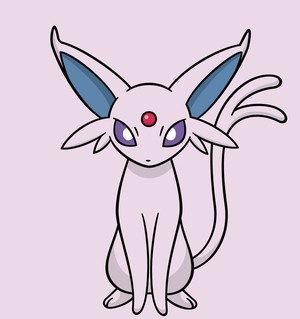 白瀬奈美の写メ日記｜ローテンブルク 吉原高級店ソープ