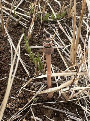 白瀬奈美の写メ日記｜ローテンブルク 吉原高級店ソープ