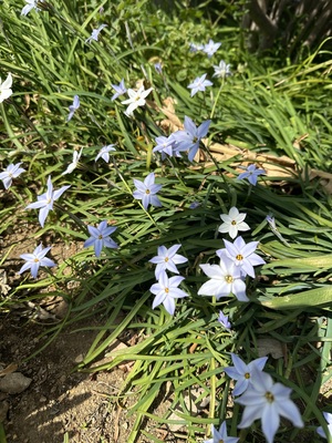 白瀬奈美の写メ日記｜ローテンブルク 吉原高級店ソープ