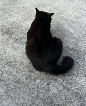 白瀬奈美の写メ日記｜ローテンブルク 吉原高級店ソープ