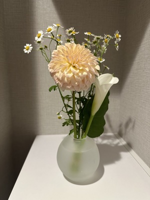 白瀬奈美の写メ日記｜ローテンブルク 吉原高級店ソープ