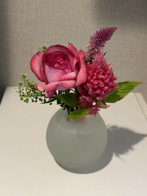 白瀬奈美の写メ日記｜ローテンブルク 吉原高級店ソープ