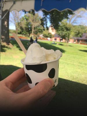 土屋まなみの写メ日記｜ローテンブルク 吉原高級店ソープ