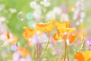 土屋まなみの写メ日記｜ローテンブルク 吉原高級店ソープ