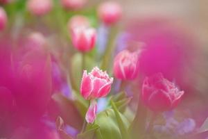 土屋まなみの写メ日記｜ローテンブルク 吉原高級店ソープ