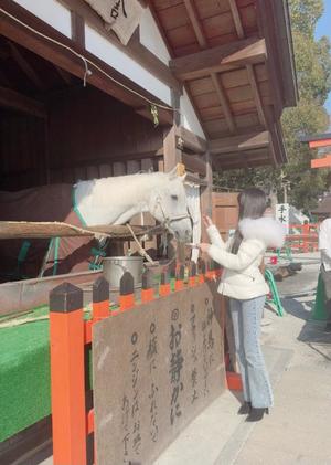 葵の写メ日記｜サブマリン 吉原高級店ソープ