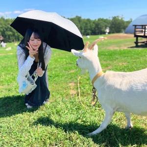 水愛の写メ日記｜セグレターリオ 吉原高級店ソープ