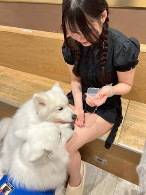あずさの写メ日記｜セグレターリオ 吉原高級店ソープ