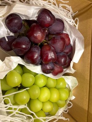 椿あやめの写メ日記｜セグレターリオ 吉原高級店ソープ