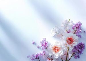 ふうかの写メ日記｜セグレターリオ 吉原高級店ソープ