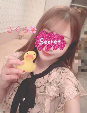 さくらの写メ日記｜セグレターリオ 吉原高級店ソープ