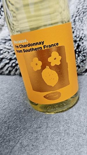 赤木の写メ日記｜セグレターリオ 吉原高級店ソープ