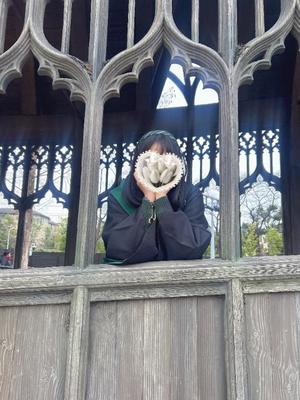 木之本　かすみの写メ日記｜シェルクラブ・ウエスト 川崎高級店ソープ