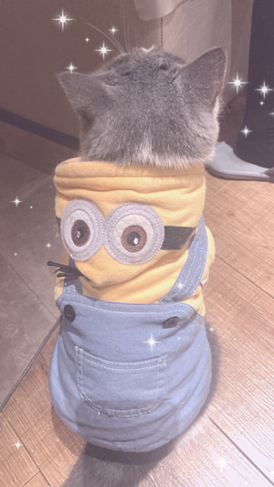 ねねの写メ日記｜スカイ 吉原高級店ソープ