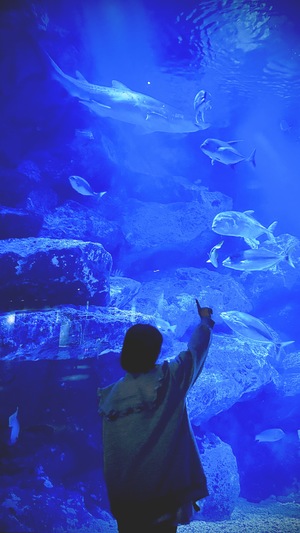 ねがうの写メ日記｜スカイ 吉原高級店ソープ