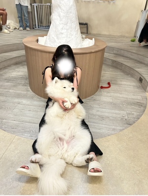 おとの写メ日記｜スカイ 吉原高級店ソープ