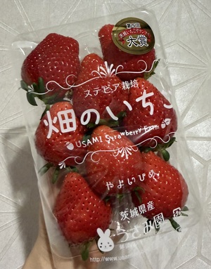 ういの写メ日記｜スカイ 吉原高級店ソープ