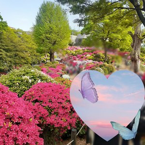 さちの写メ日記｜スカイ 吉原高級店ソープ