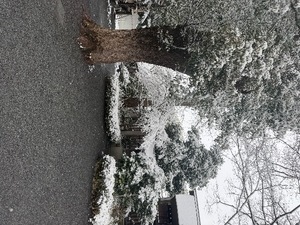 Renoの写メ日記｜リッチ～THE RICH～ 千葉県・栄町高級店ソープ