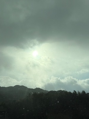 Shihoの写メ日記｜リッチ～THE RICH～ 吉原高級店ソープ