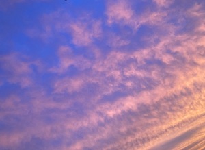 Amuの写メ日記｜リッチ～THE RICH～ 吉原高級店ソープ