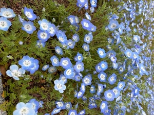 Amuの写メ日記｜リッチ～THE RICH～ 吉原高級店ソープ