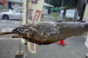 Hibikiの写メ日記｜リッチ～THE RICH～ 吉原高級店ソープ