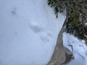 Hibikiの写メ日記｜リッチ～THE RICH～ 吉原高級店ソープ