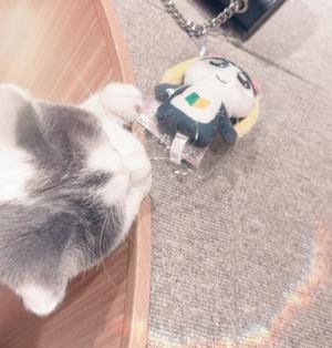 Keikaの写メ日記｜リッチ～THE RICH～ 吉原高級店ソープ