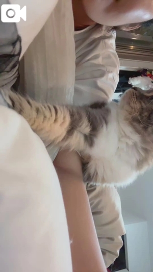 おとの写メ日記｜TOKYO BUNNYS CLUB 吉原高級店ソープ