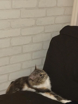 おとの写メ日記｜TOKYO BUNNYS CLUB 吉原高級店ソープ