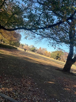 みつりの写メ日記｜TOKYO BUNNYS CLUB 吉原高級店ソープ
