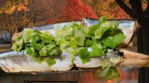 花嶋りくの写メ日記｜ヴェルサイユ 吉原高級店ソープ