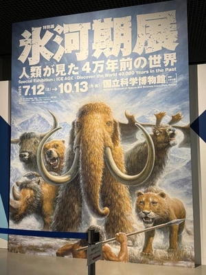 花嶋りくの写メ日記｜ヴェルサイユ 吉原高級店ソープ