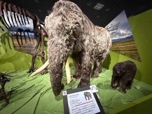 花嶋りくの写メ日記｜ヴェルサイユ 吉原高級店ソープ