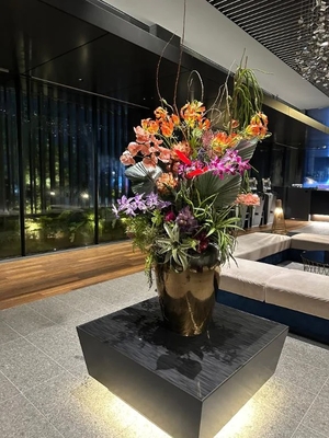 ひなぎくの写メ日記｜ヴェルサイユ 吉原高級店ソープ