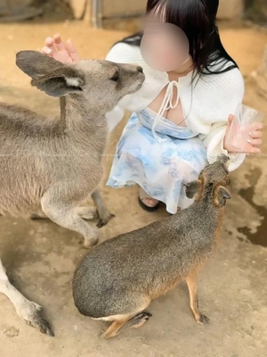 ひなぎくの写メ日記｜ヴェルサイユ 吉原高級店ソープ