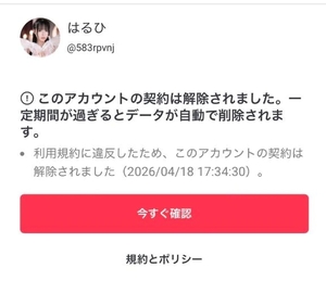 はるひの写メ日記｜ヴェルサイユ 吉原高級店ソープ