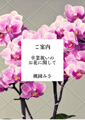 桃園みさの写メ日記｜ヴェルサイユ 吉原高級店ソープ