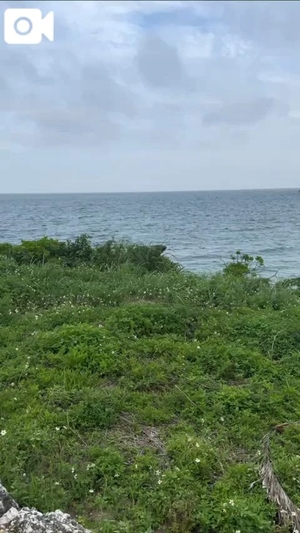 もえの写メ日記｜ヴェルサイユ 吉原高級店ソープ