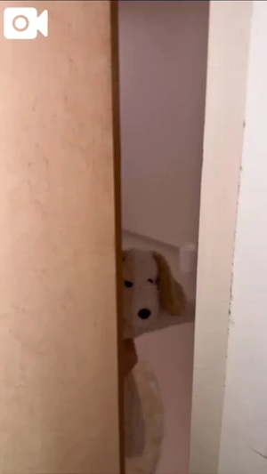 もえの写メ日記|ヴェルサイユ 吉原高級店ソープ