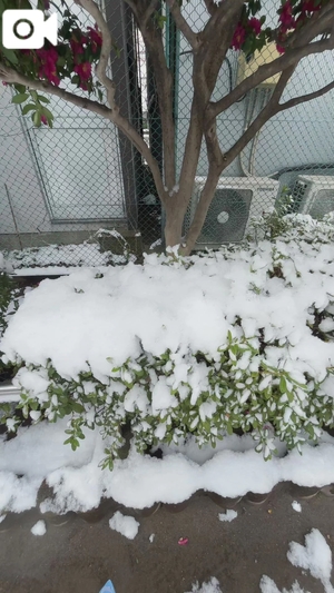 あきの写メ日記｜ヴェルサイユ 吉原高級店ソープ